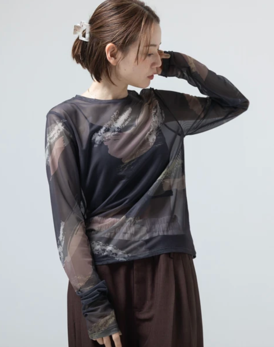 Painterly Sheer Crew Neck Top