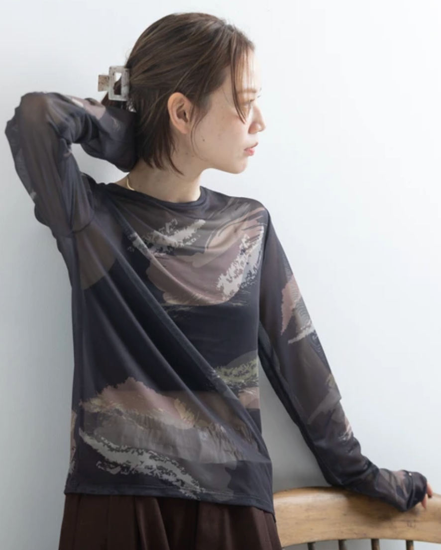 Painterly Sheer Crew Neck Top